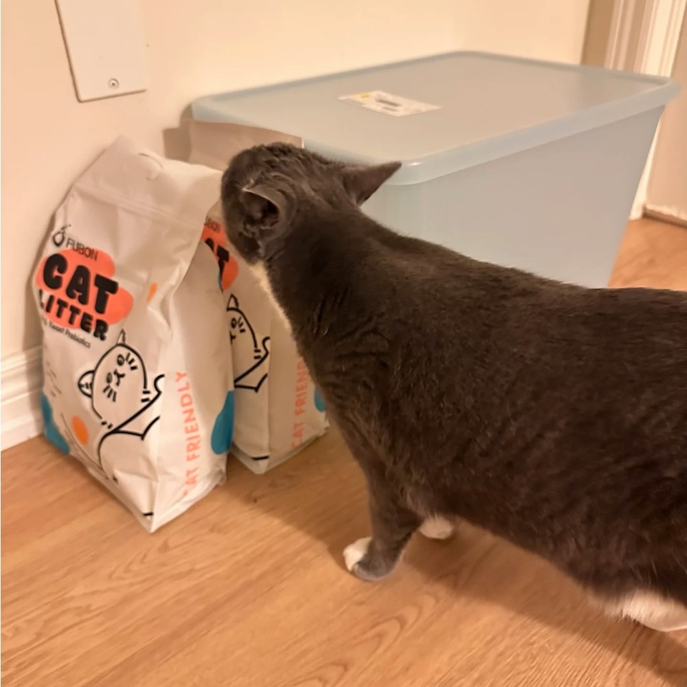 flushable cat Litter tofu litter $13